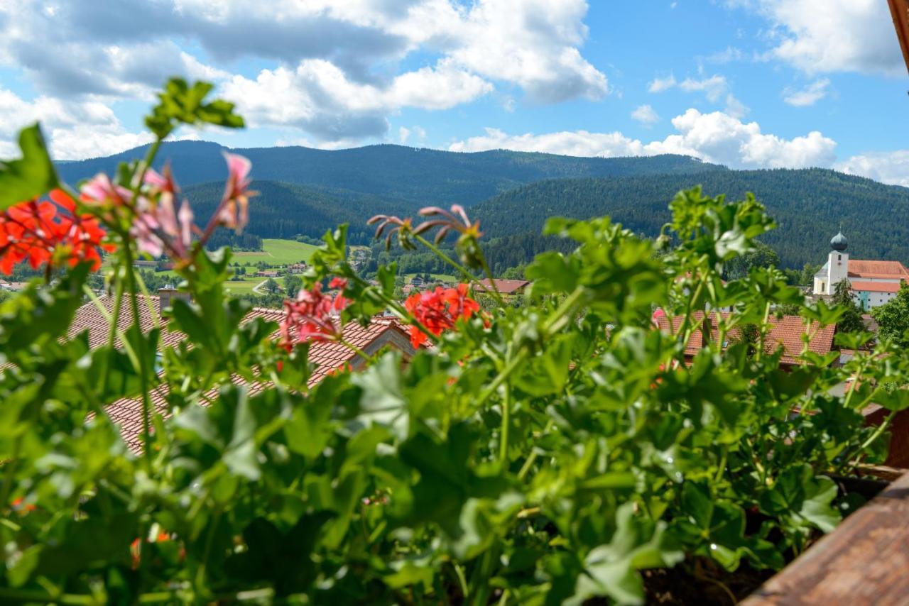 Ferienwohnungen Schmid Lam Bagian luar foto